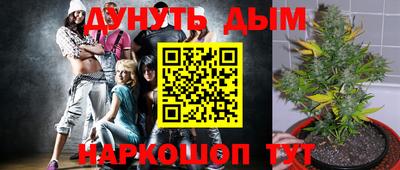 Альфа ПВП Гусиноозёрск