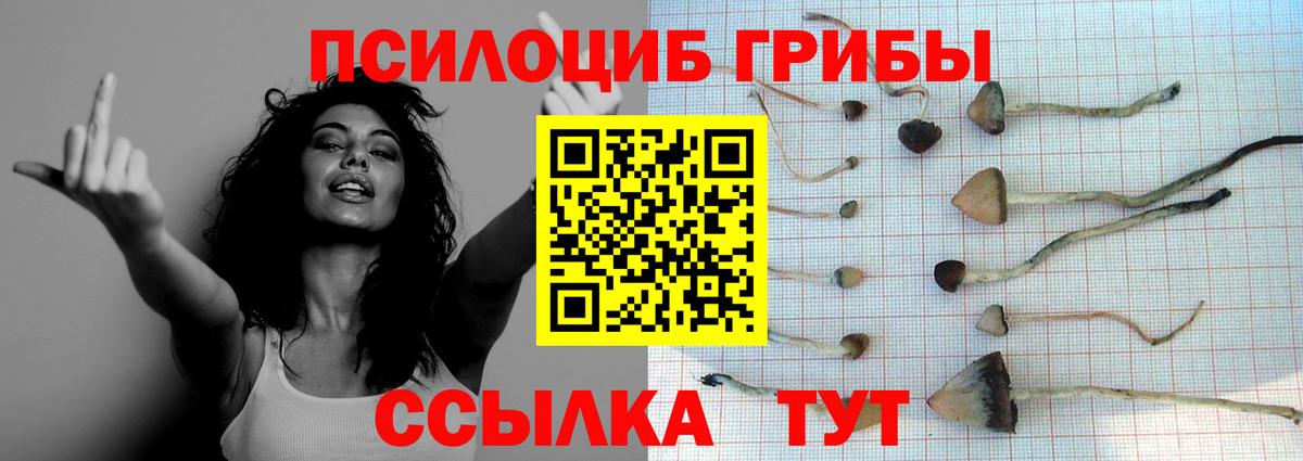 Галлюциногенные грибы GOLDEN TEACHER  Вход с VPN  Надым 